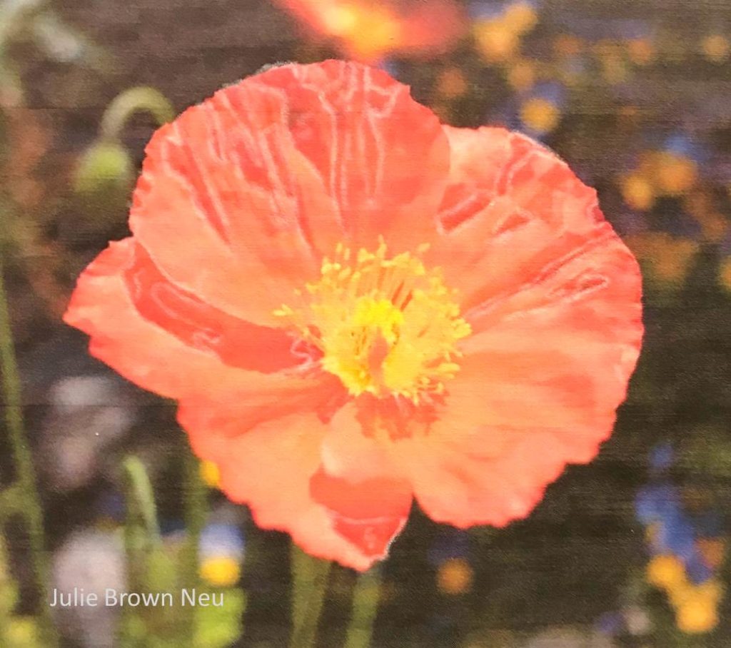 Thread Photo Making Thread Painted Photo Tutorial - Julie Brown Neu