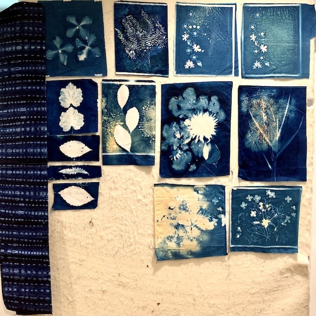 dozen blue and white cyanotype prints of leaves and flowers on fabric, pinned to design wall