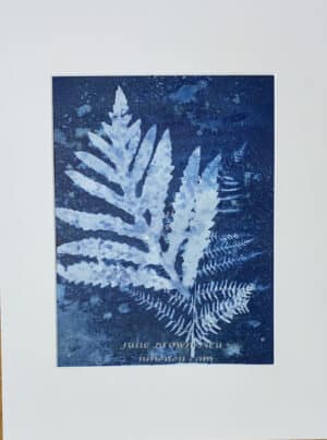 cyanotype of two fern fronds