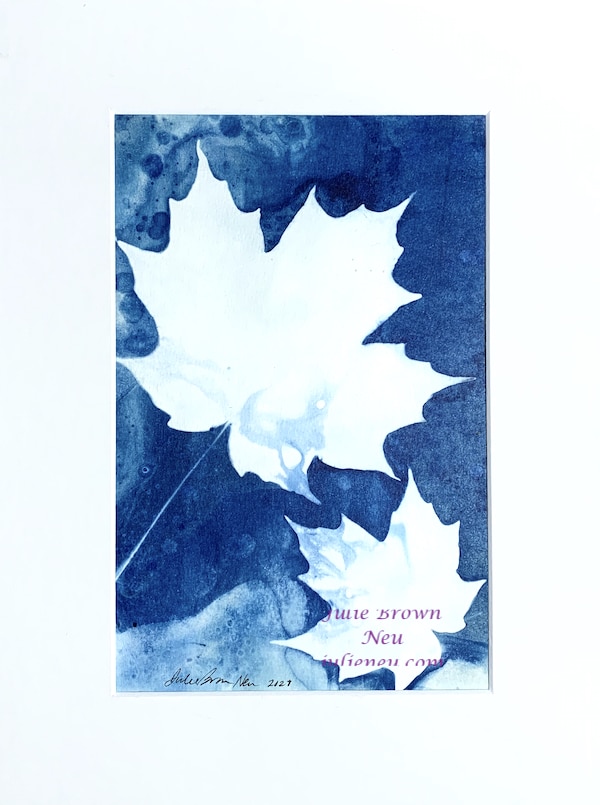 cyanotype of two maple leaves