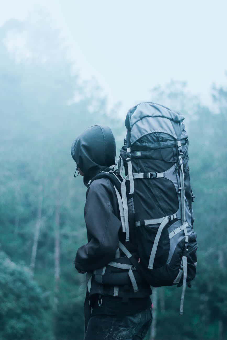 man wearing black hoodie carries black and gray backpacker near trees during foggy weather