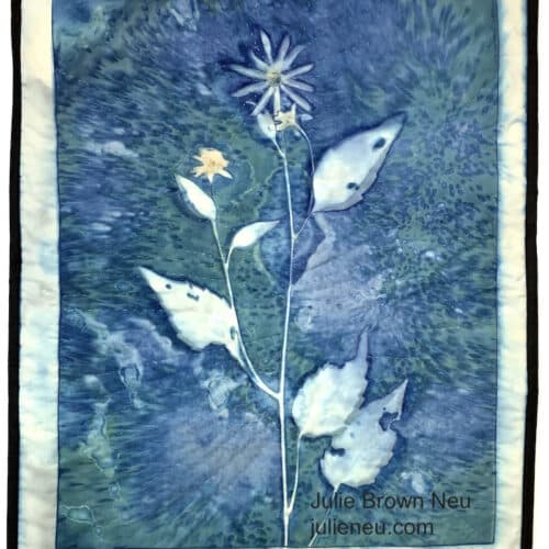 cyanotype of daisy-like flower