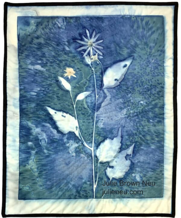 cyanotype of daisy-like flower