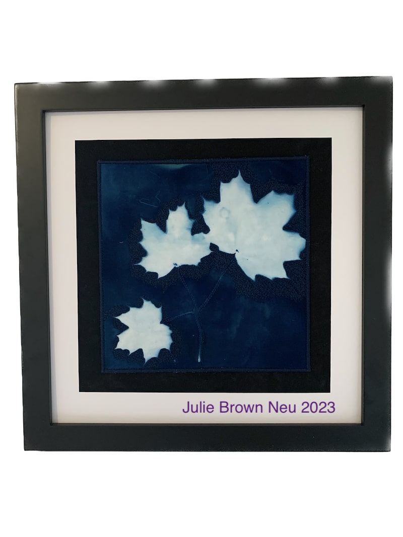 black framed cyanotype of three white maple leaves on a stem on blue background