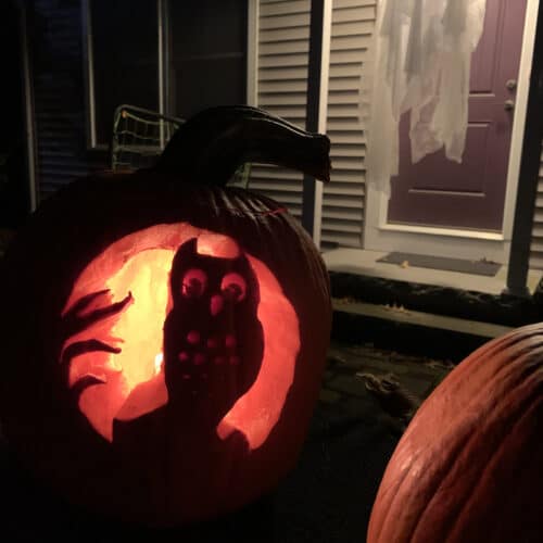 pumpkin carved with owl in tree, lit with candle