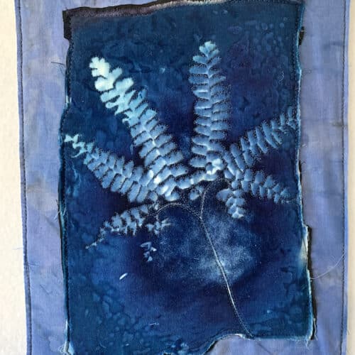 cyanotype of white maidenhair fern image on blue background