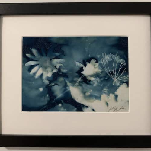 cyanotype of white daisy like flowers on blue background, with white mat and black frame
