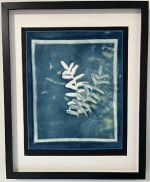 Lift — cyanotype by Julie Brown Neu